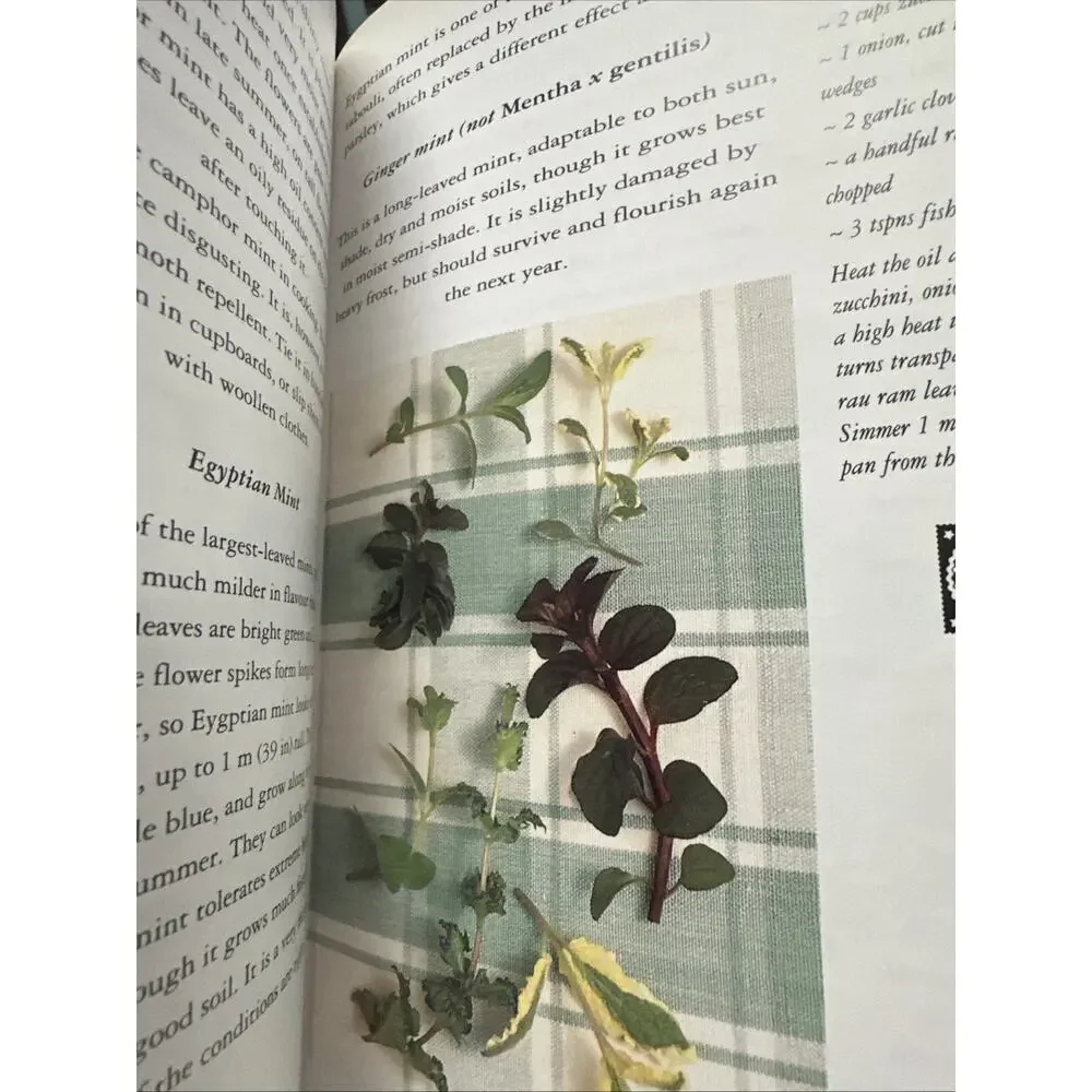 Book‎ Of Mint